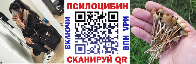 Галлюциногенные грибы MAGIC MUSHROOMS  Кыштым 